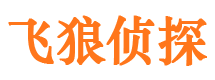 大柴旦市婚外情调查